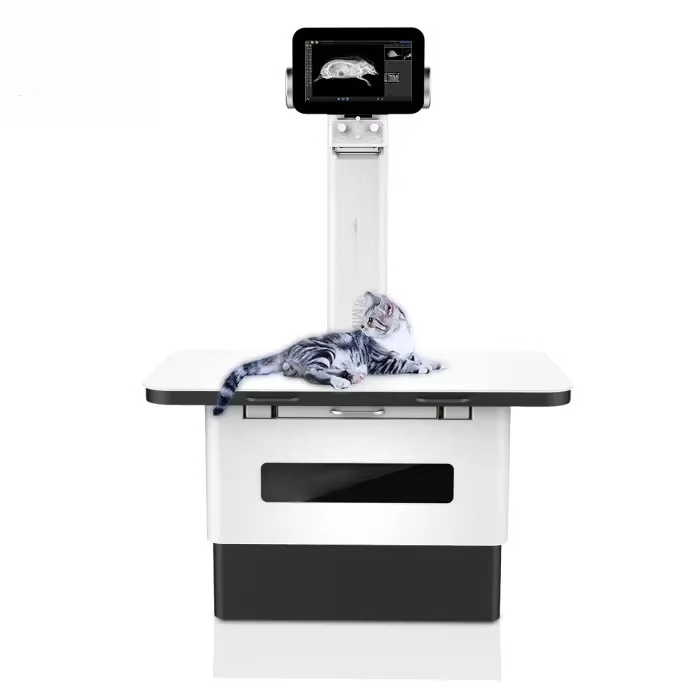 Professional digital pet X-ray - огляд і ціна Photography X Ray