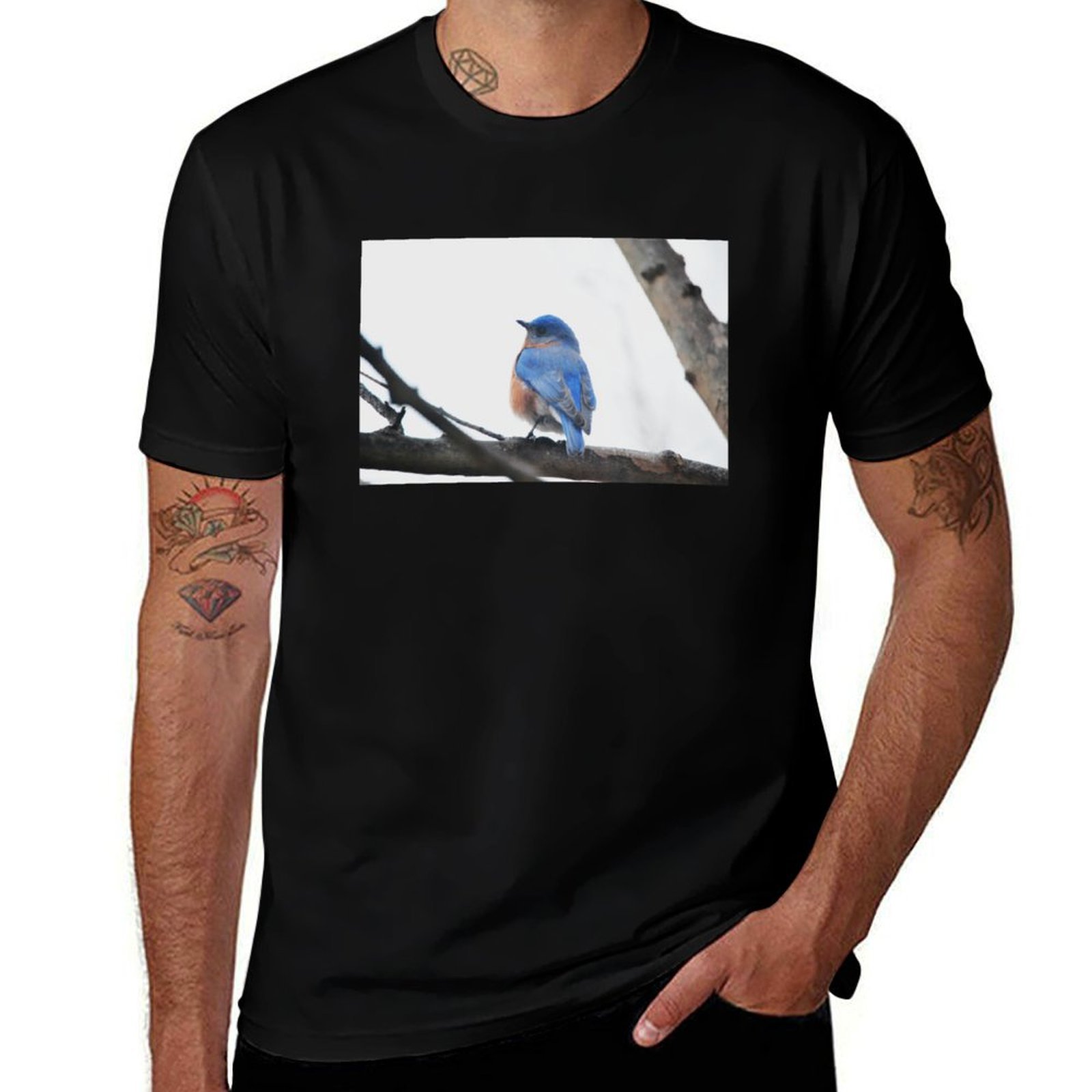 Male Eastern Bluebird Nature P - огляд і ціна Photography Training