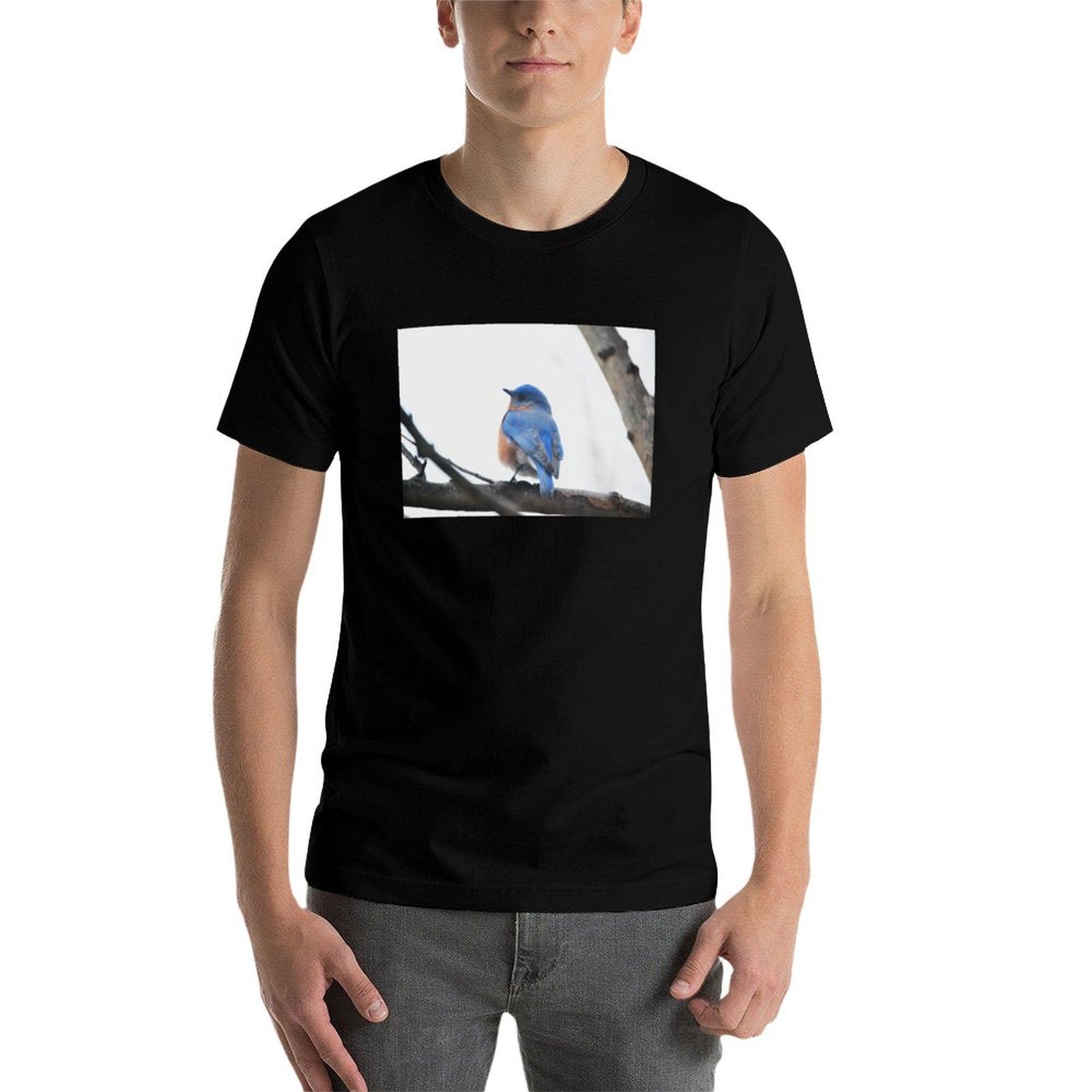 Male Eastern Bluebird Nature P - огляд і ціна Photography Training