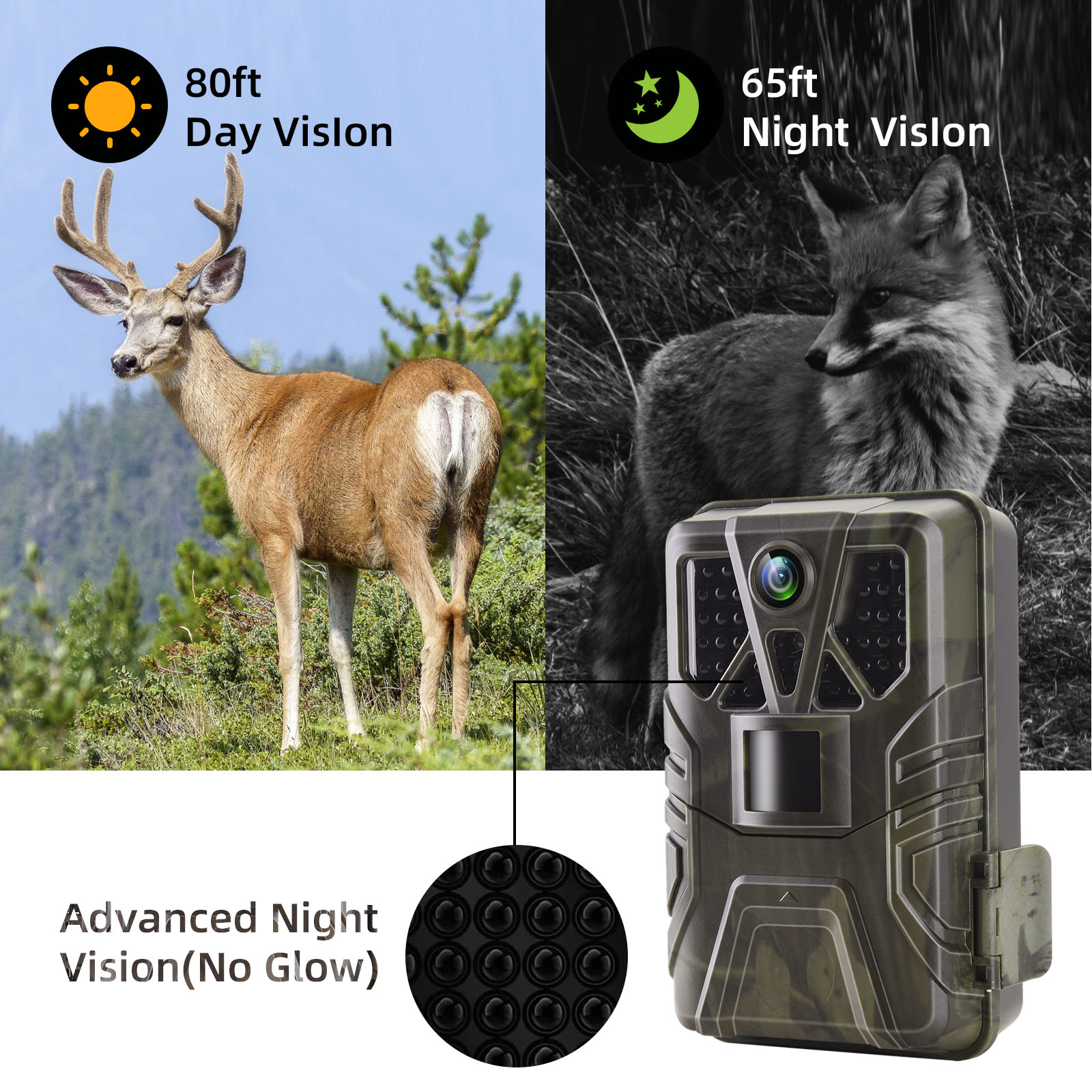 Wildlife Trail Camera 36MP 2.7 - огляд і ціна Photography Term